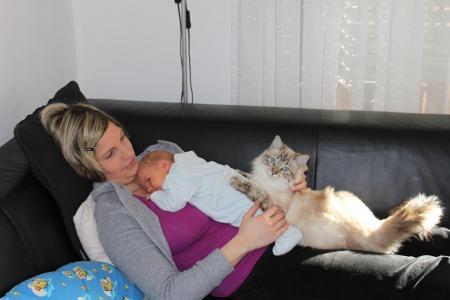 Bild zu 