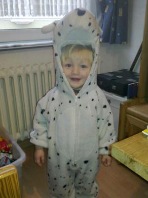 Bild zu
