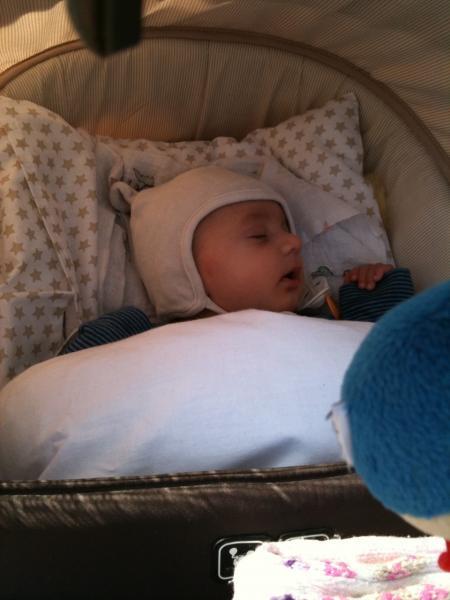 Bild zu 