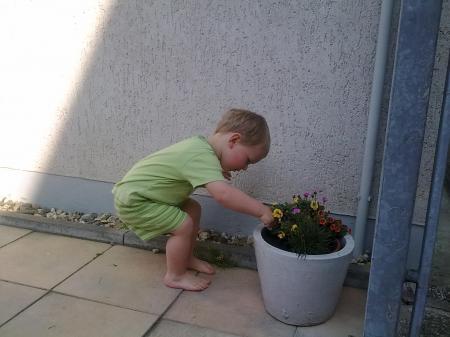 Bild zu
