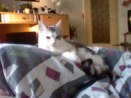 Bild zu 