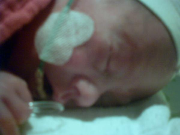 Bild zu Léo - Forum für Januar - Mamis