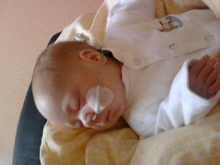 Bild zu