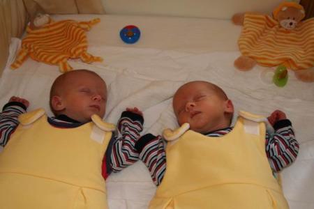 Bild zu