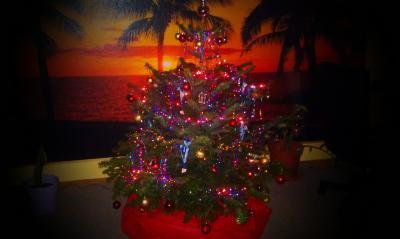 Bild zu Weihnachtsbaum ;) - Forum für Januar - Mamis