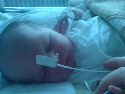 Bild zu Bilder - Forum für Januar - Mamis