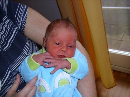 Bild zu 