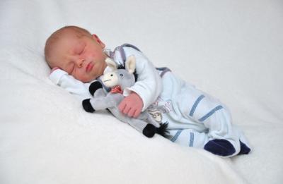 Bild zu Gutscheine und Geschenke - Forum für Januar - Mamis