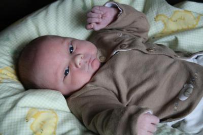 Bild zu Geburtsbericht und Photo - Forum für Januar - Mamis