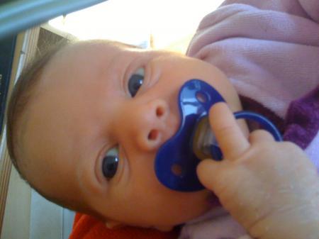 Bild zu 