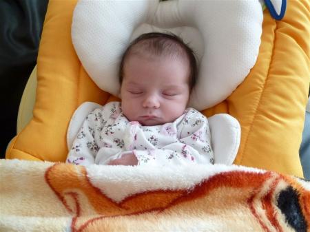 Bild zu 