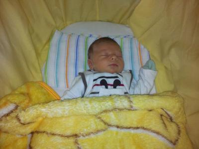 Bild zu Baby und Haustiere - Forum für Januar - Mamis