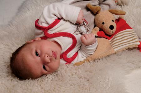 Bild zu 