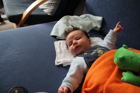 Bild zu 