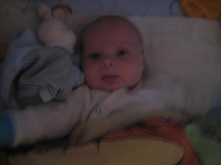 Bild zu 