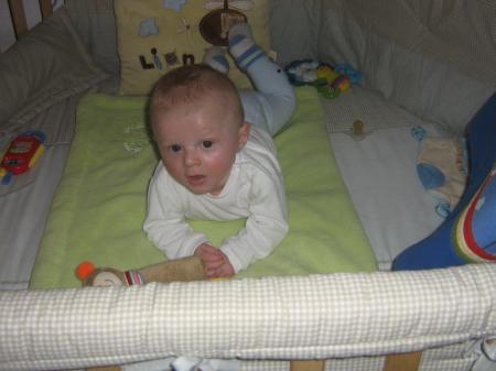 Bild zu