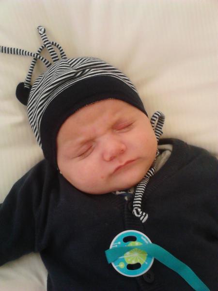 Bild zu 