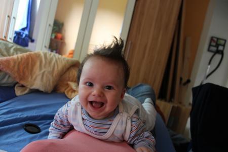 Bild zu