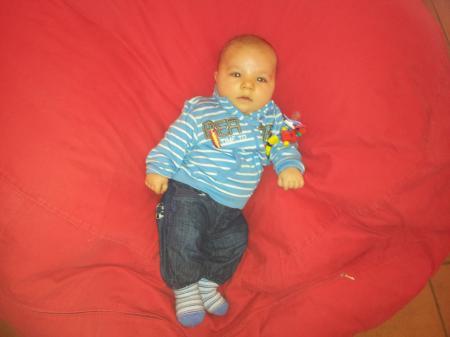 Bild zu