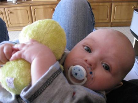Bild zu