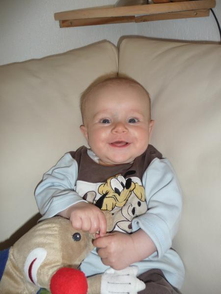 Bild zu