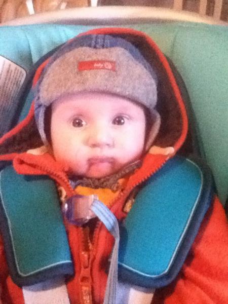 Bild zu