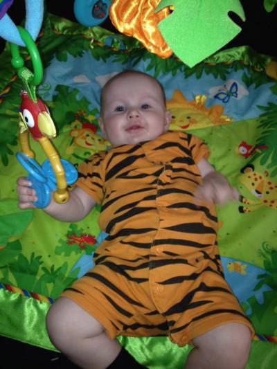 Bild zu kleiner Tiger im Jungel :-) - Forum für Januar - Mamis