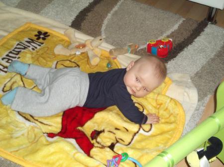 Bild zu