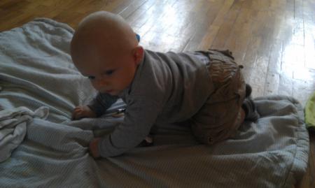Bild zu
