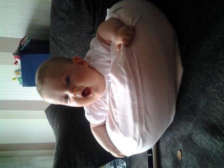 Bild zu