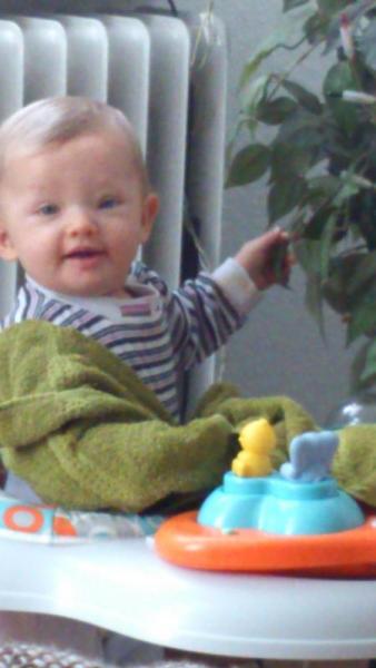 Bild zu 
