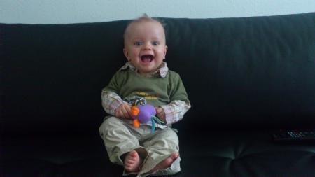 Bild zu 
