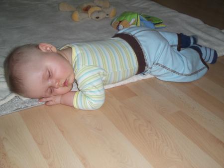 Bild zu 