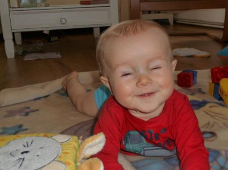 Bild zu
