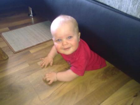 Bild zu 