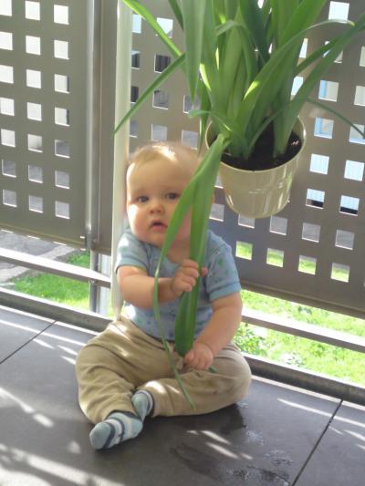 Bild zu Mal wieder ein Foto von meinem kleinen Schatz - Forum für Januar - Mamis