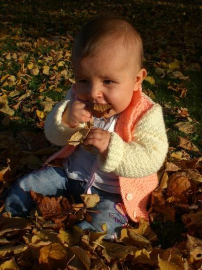 Bild zu Herbstfotos vom schönen Wetter - Forum für Januar - Mamis
