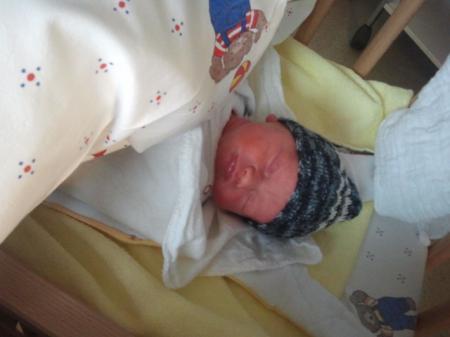 Bild zu