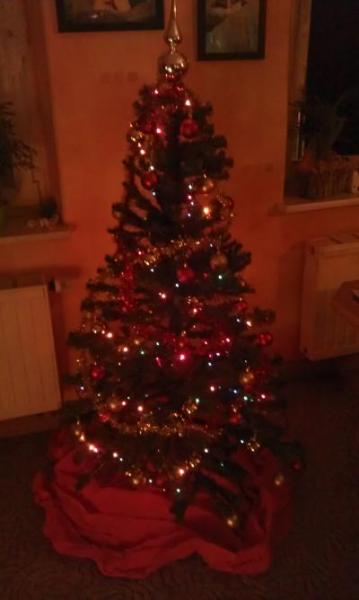 Bild zu Umfrage Weihnachtsbaum - Forum für Januar - Mamis