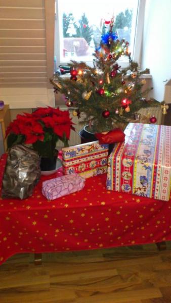 Bild zu Léo hat Weihnachten richtig abgesahnt :-) - Forum für Januar - Mamis