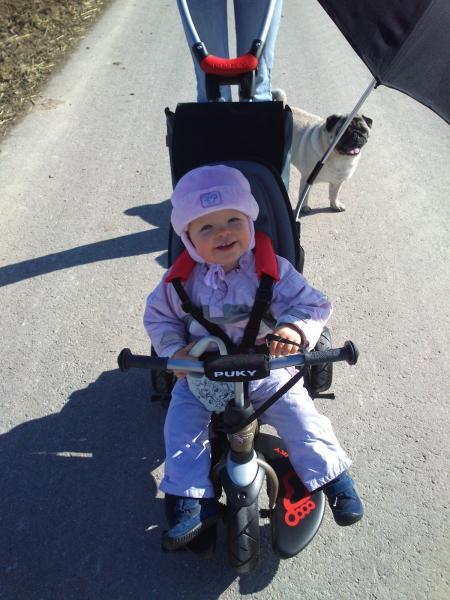 Bild zu 