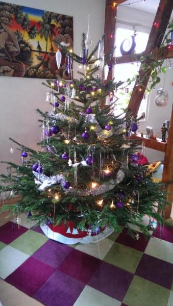 Bild zu baum - Forum für Januar - Mamis