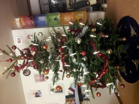 Bild zu