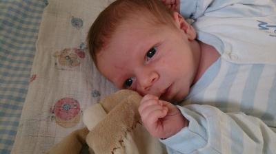 Bild zu Babybildrunde - nach den ganzen Bauchbildrunden - Forum für Januar - Mamis