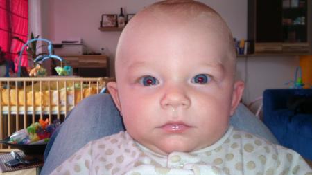Bild zu 