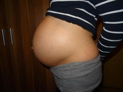 Bild zu Bauchbilder...oder...majestätisch sein für ALLE - Forum für Januar - Mamis