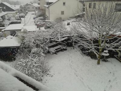 Bild zu Schnee! - Forum für Januar - Mamis
