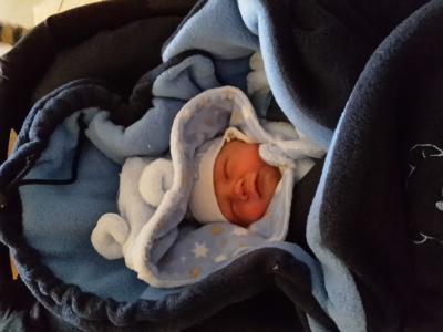 Bild zu Endlich wieder zu Hause - Forum für Januar - Mamis