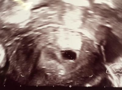 Bild zu Alles so wie es sein soll 😍 - Forum für Januar - Mamis