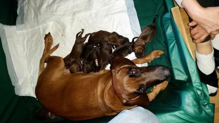 Bild zu Silvesterbabys - Forum für Januar - Mamis